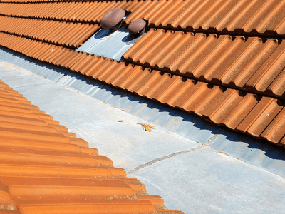 About Leaking Skylight Repair Pros Mayslick, KY